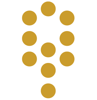 Holistic University