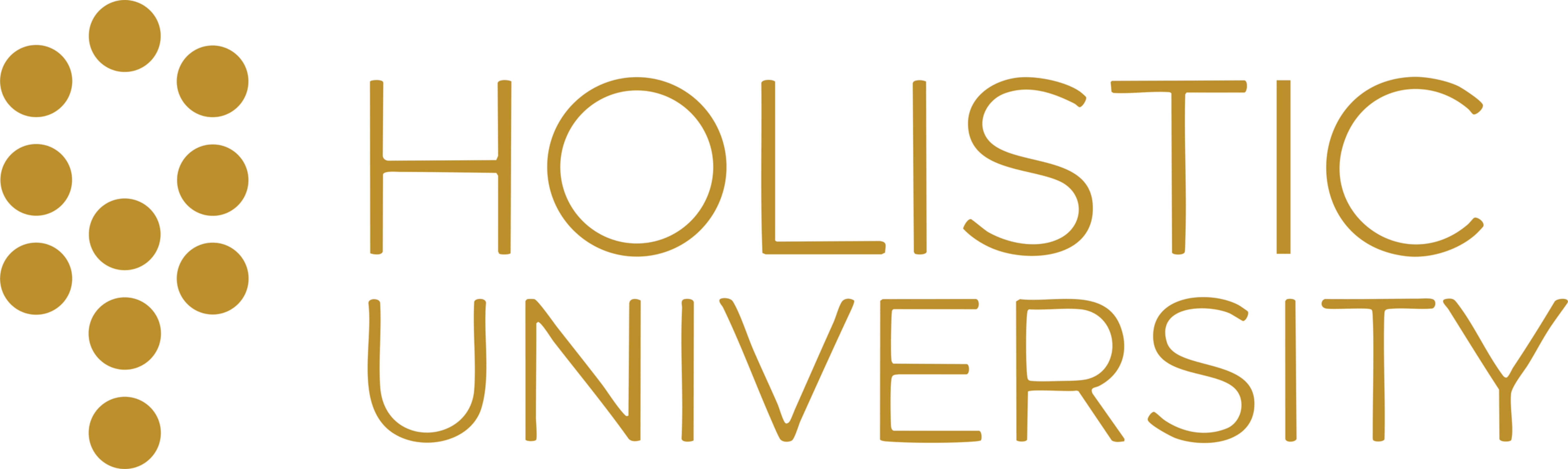 Holistic University